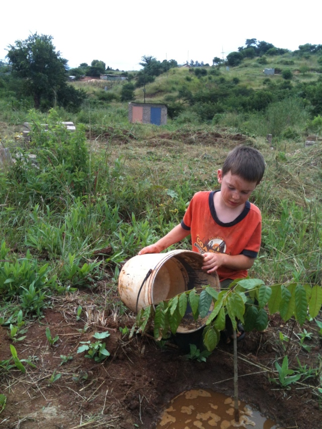 Here's Caleb watering a tree at our church stand. You can see our recently built outdoor toilets, complete with pink and blue doors, in the background.